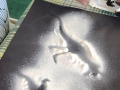 tyden-Dino-12