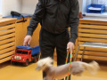 IMG_20260121_100534